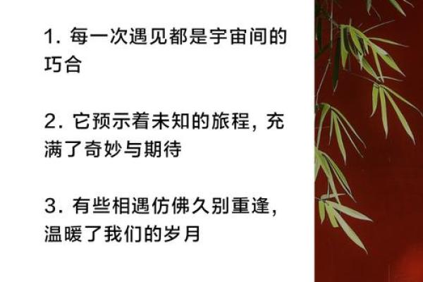 认识是一种缘分相遇是一种_认识是缘分相遇是奇迹缘分的奇妙旅程