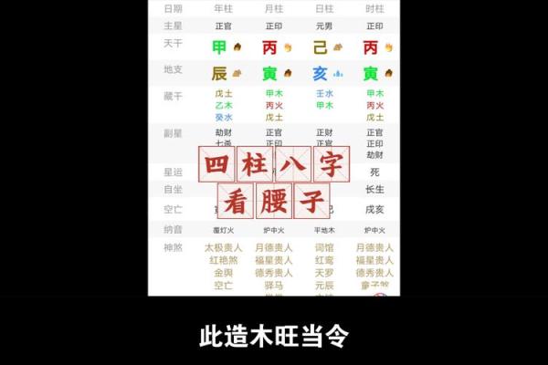 五行四柱八字排盘免费查询_四柱八字 五行