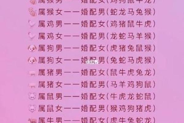 属鼠男跟属兔女的姻缘怎么样 属鼠男与属兔女的姻缘解析缘分深浅如何