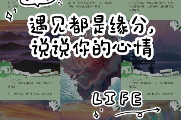 遇见就是缘分_遇见就是缘分唯美句