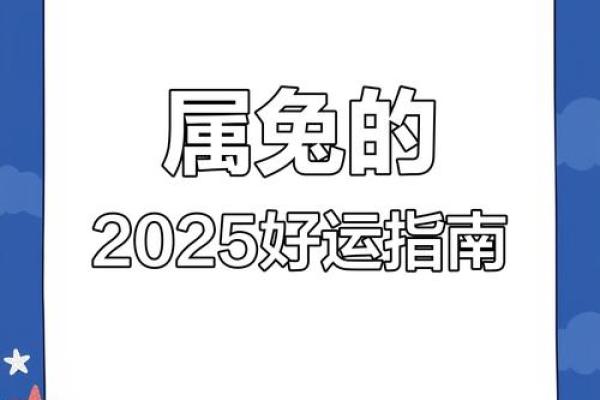 2025年属兔的多大 2025年属兔人年龄解析你今年多大 2025年属兔的多大 2025年属兔人年龄解析你今年多大