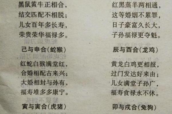 属羊与属兔婚配好吗解析生肖配对的最佳组合