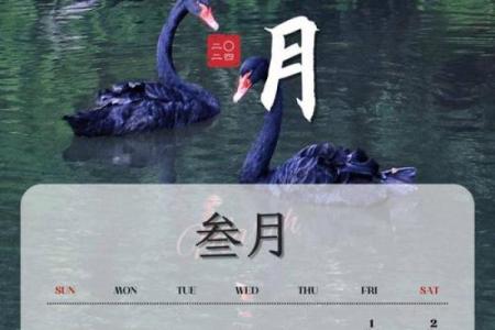 三月份日历表2023图片高清(三月份月历图片)