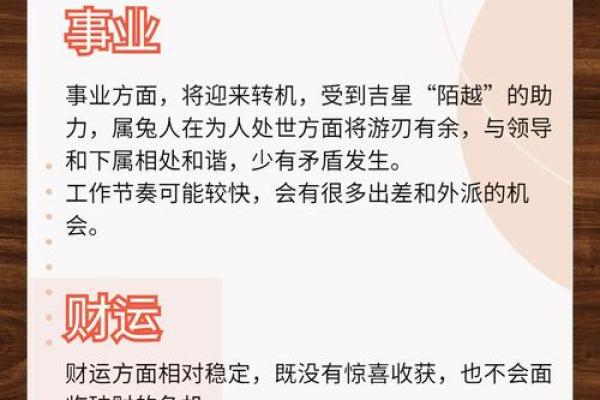 2025年属兔的全年运程_2025年属兔全年运程详解运势大揭秘与提升指南 2025年属兔的全年运程_2025年属兔全年运程详解运势大揭秘与提升指南