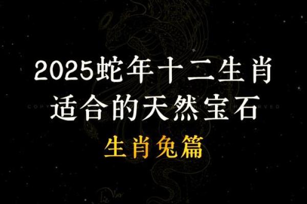 2025年蛇年属兔的运势怎么样_2025年属蛇命运 2025年蛇年属兔的运势怎么样_2025年属蛇命运
