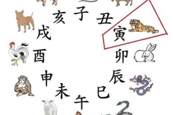 寅时出生的女孩姻缘 寅时出生的女孩命运怎样