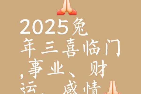 2025年属兔多大了_2025年属兔多少岁 2025年属兔多大了_2025年属兔多少岁