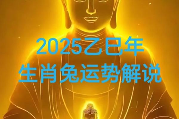 2025年属兔的年龄计算及运势解析 2025年属兔的年龄计算及运势解析