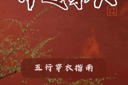 2025.4.9五行穿衣指南(五行穿衣2025.12.1.-4.)