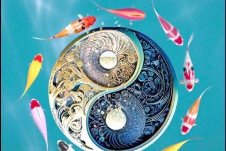 老鼠今年的运势如何2025