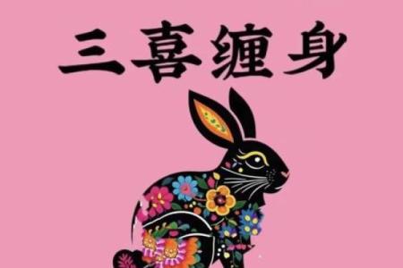 2024年适合订婚的日子属兔人