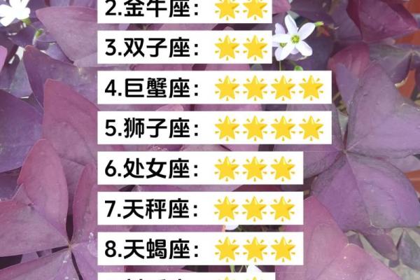 十二星座运势免费查询_2024年十二星座运势免费查询精准预测全年运程 十二星座运势免费查询_2024年十二星座运势免费查询精准预测全年运程