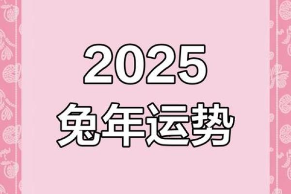 兔年2025年的运势怎么样_2025年兔年运势解析财运事业爱情全预测 兔年2025年的运势怎么样_2025年兔年运势解析财运事业爱情全预测