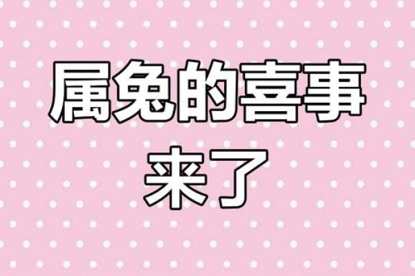 属鸡的和属兔的婚配好不好_属鸡和属兔的婚配解析缘分深浅与幸福指数