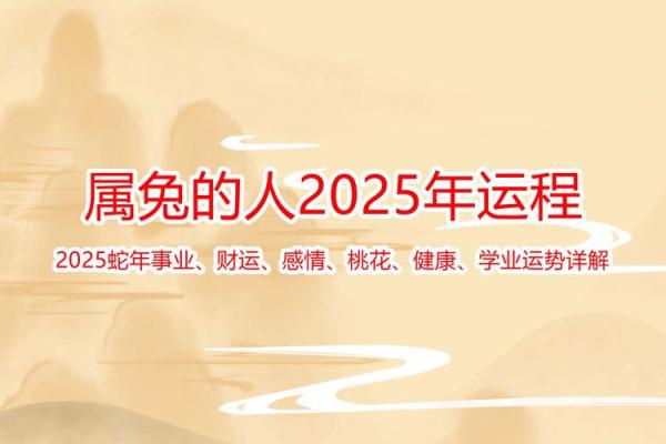 75年属兔人2025年多少岁_75年属兔人2025年多少岁 75年属兔人2025年多少岁_75年属兔人2025年多少岁