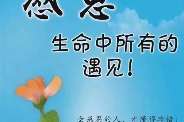 缘分的句子 缘分句子精选触动心灵的缘分语录与感悟