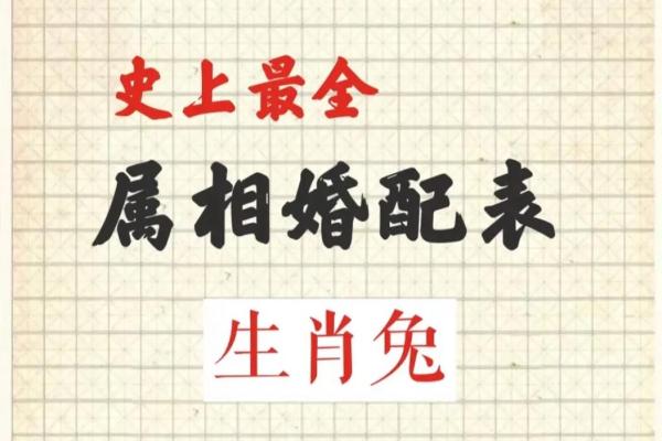 属鸡跟属兔的姻缘怎么样 属鸡的和属兔的婚配怎么样啊