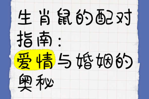 95猪与96鼠是绝命婚姻
