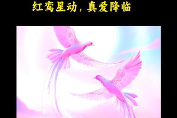 姻缘星2颗代表什么 姻缘星2颗代表什么揭秘姻缘星对爱情的影响 姻缘星2颗代表什么 姻缘星2颗代表什么揭秘姻缘星对爱情的影响