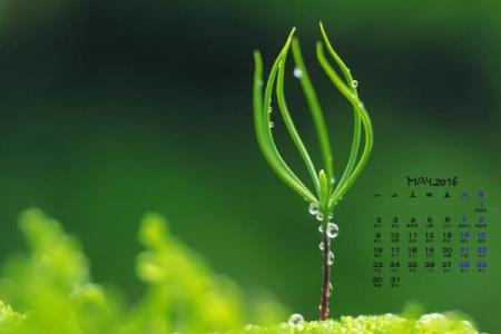 4.5月日历(45月日历)