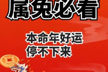 23年的兔是什么命 五行属什么_2023年属兔五行属什么揭秘23年兔年命运与五行属性