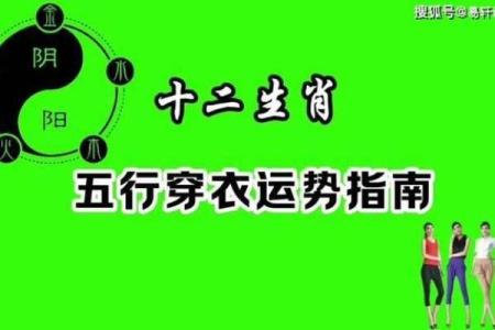 2025年1月30号出生的宝宝属什么(2025年1月30日出生的宝宝属什么生肖)