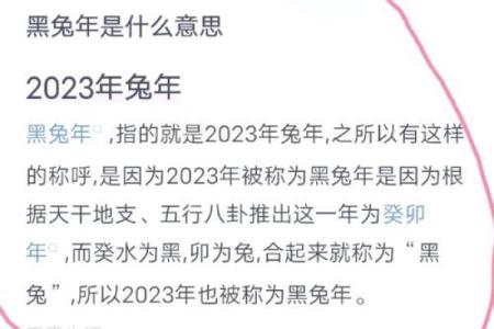 2023年是什么兔年五行属什么_2023年兔年五行属什么揭秘生肖与五行关系