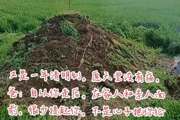 今年坟地动土好不好(今年坟墓哪一个方向大吉)