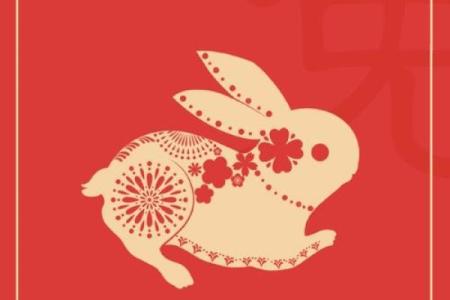 属兔2025年结婚好不好