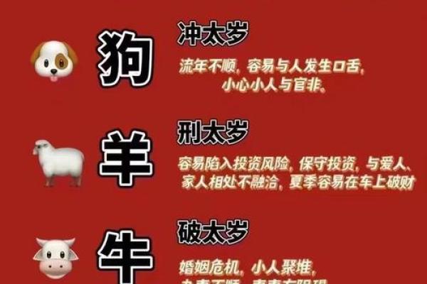 属龙的2021今年适合结婚吗