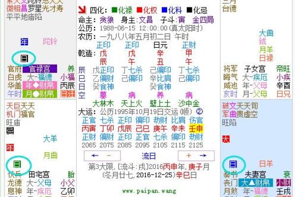 2025年4月6日子时女命紫微斗数全解盘 2025年4月6日子时女命紫微斗数全解盘