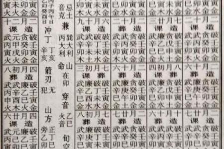 2025年通书电子版(2022年通书电子版)