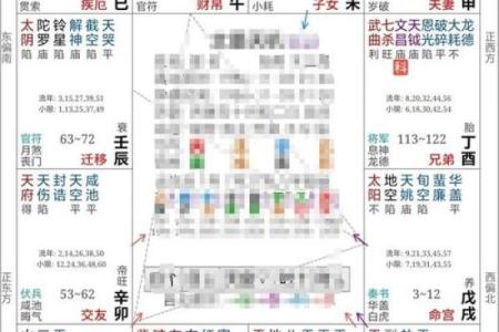 2025年4月1日戌时男命紫微斗数全解盘