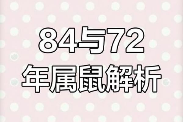 属鼠的今日运势十二星座_属鼠今日运势解析十二星座运势大揭秘 属鼠的今日运势十二星座_属鼠今日运势解析十二星座运势大揭秘