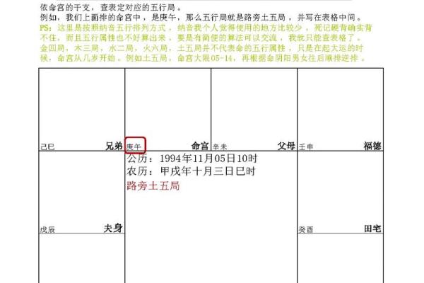 2025年4月6日巳时男命紫微斗数全解盘