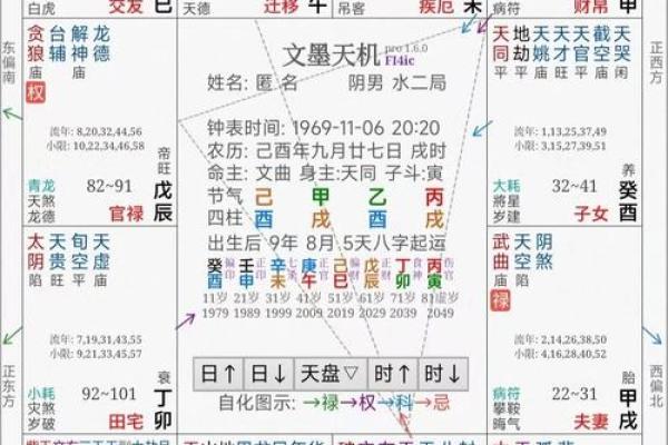 2025年4月7日丑时男命紫微斗数全解盘