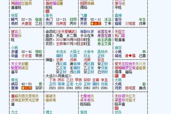 2025年4月27日未时男命紫微斗数全解盘