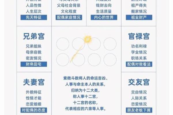 2025年4月1日亥时女命紫微斗数全解盘