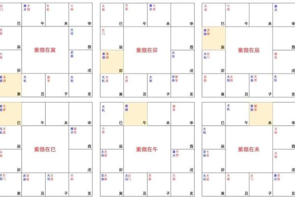 2025年4月4日午时男命紫微斗数全解盘