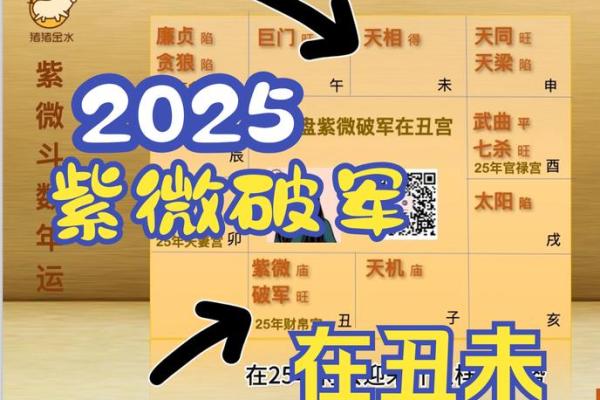 2025年4月3日卯时女命紫微斗数全解盘