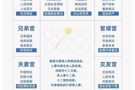 2025年4月3日酉时女命紫微斗数全解盘