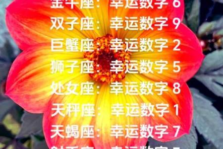 金牛座今日运势星座运势查询