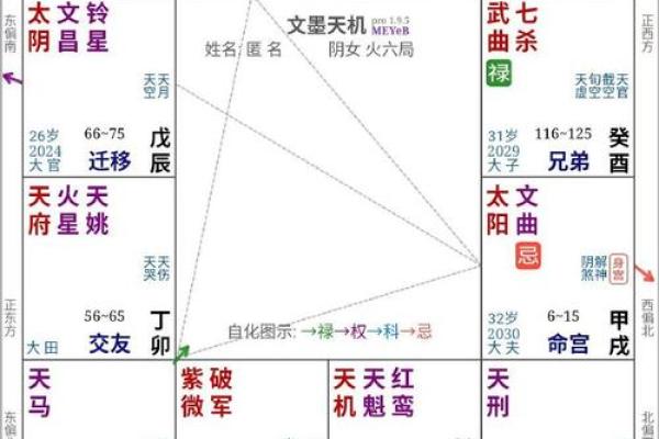 2025年4月7日寅时女命紫微斗数全解盘 2025年4月7日寅时女命紫微斗数全解盘
