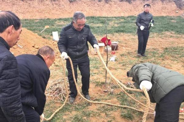 今天能动土吗家里 今天能动土吗家里