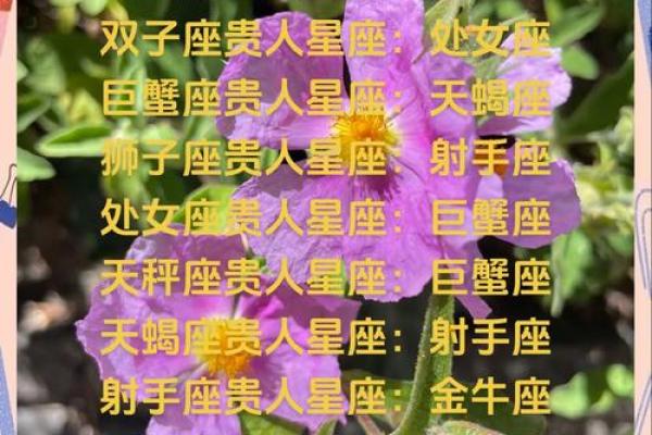 摩羯女今日运势解析星座运势全揭秘 摩羯女今日运势解析星座运势全揭秘