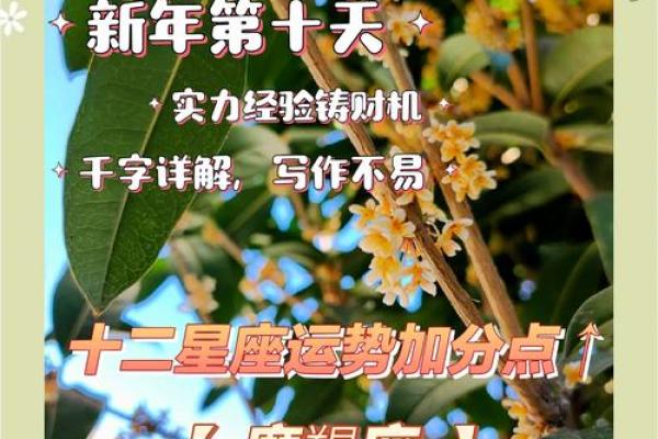 摩羯女今日运势解析星座运势全揭秘 摩羯女今日运势解析星座运势全揭秘