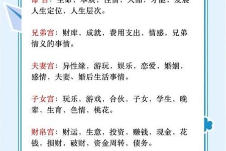 2025年4月3日戌时男命紫微斗数全解盘