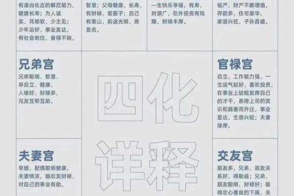 2025年4月27日亥时男命紫微斗数全解盘