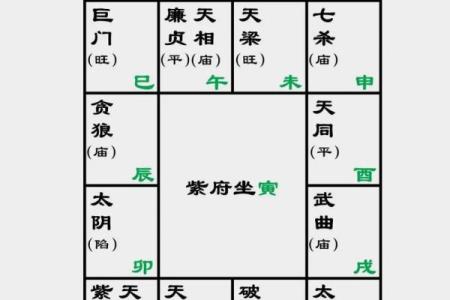 2025年4月5日酉时女命紫微斗数全解盘