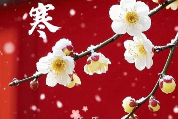 2025大寒后几天动土最好